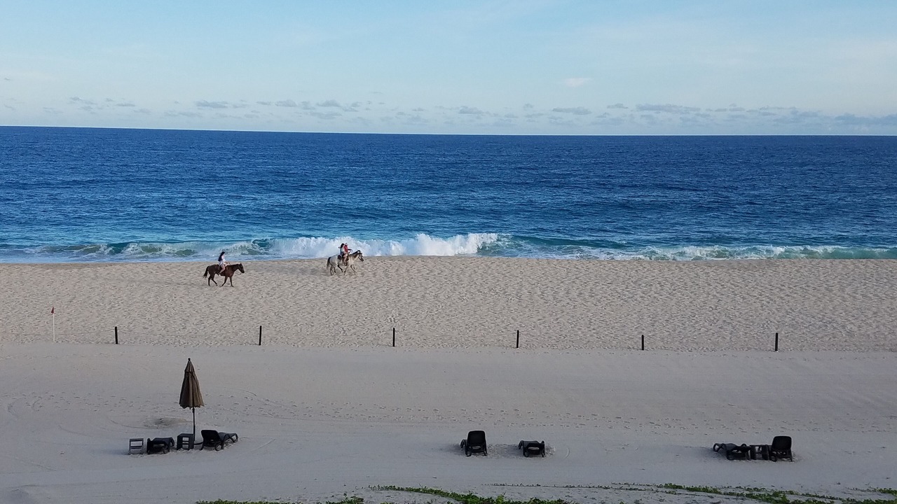 Photo of Others in San Jose del Cabo