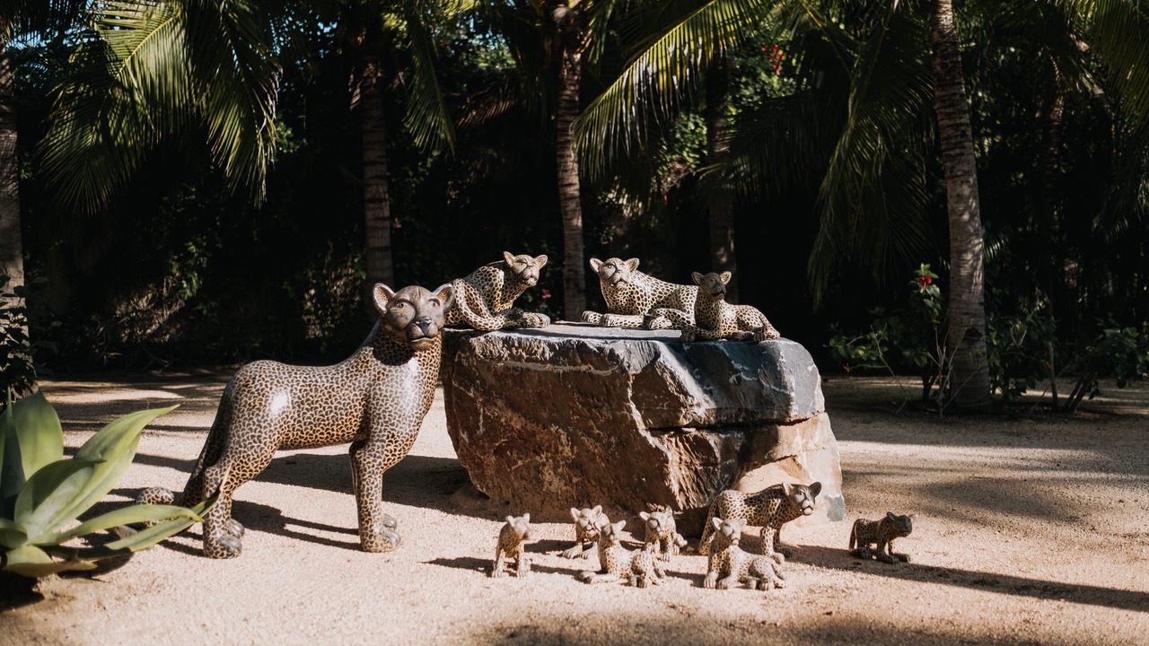 Photo of Outdoor in Zihuatanejo