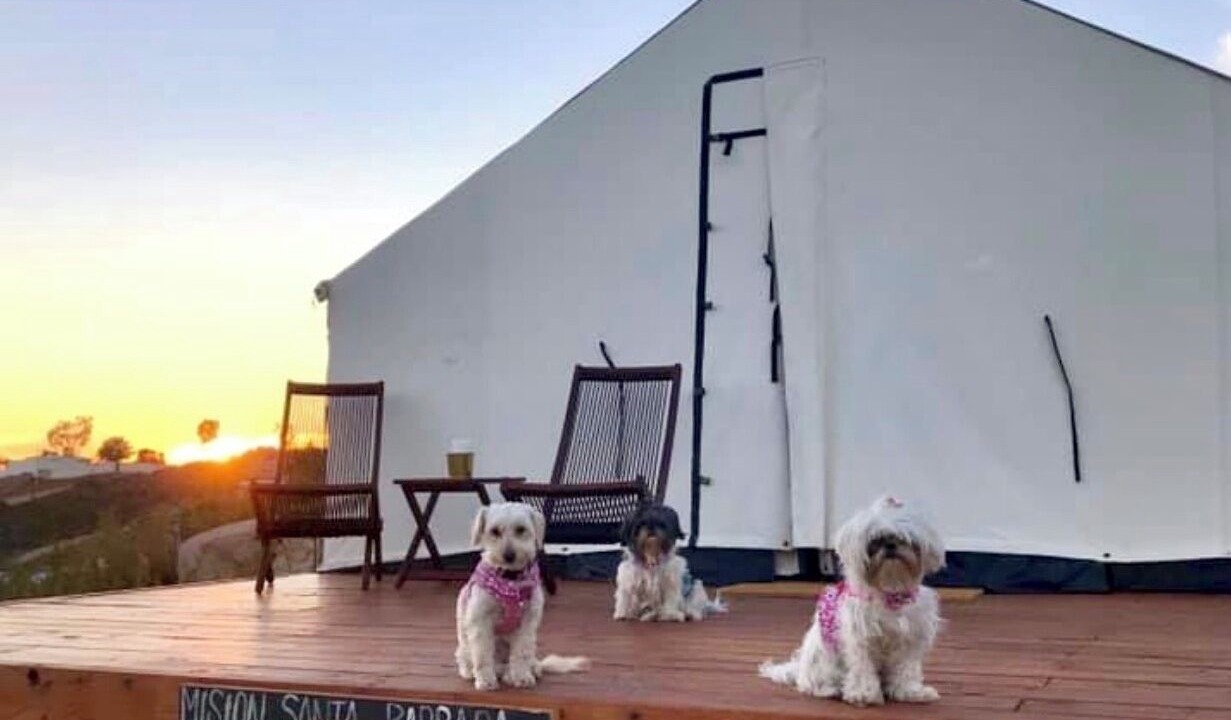 Photo of Others in San Antonio de las Minas