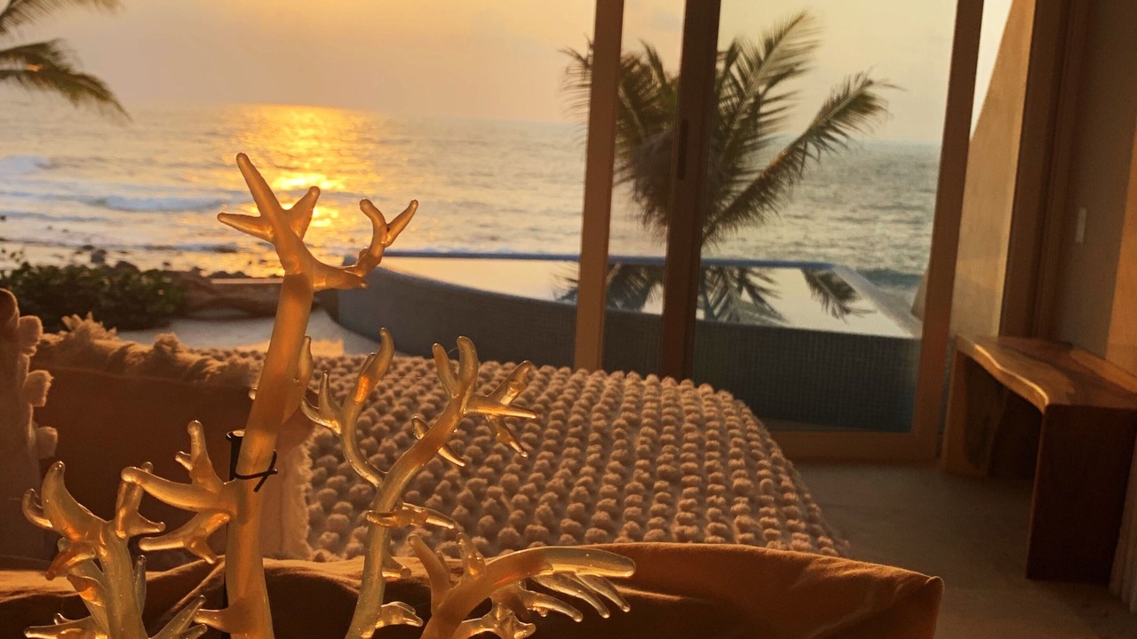 Photo of Others in Troncones