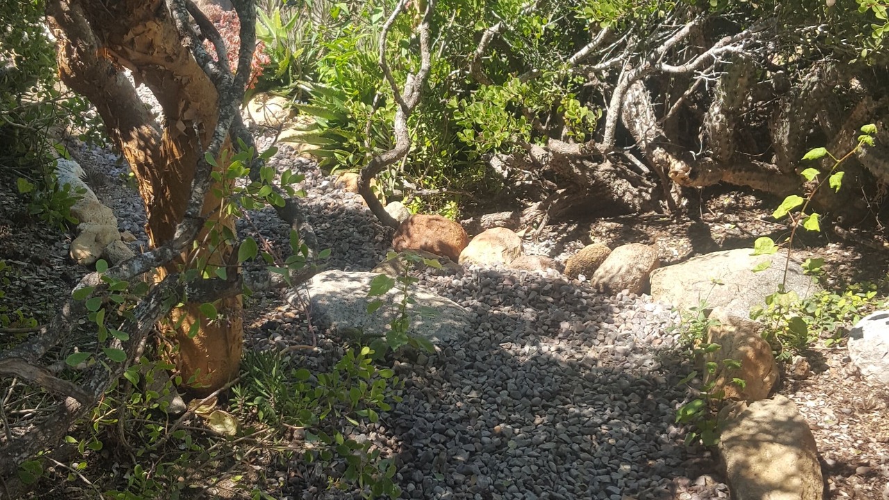 Photo of Others in El Pescadero