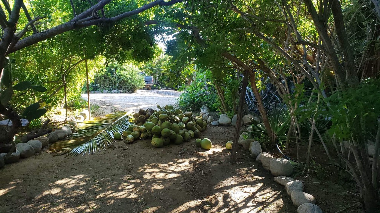 Photo of Outdoor in El Pescadero
