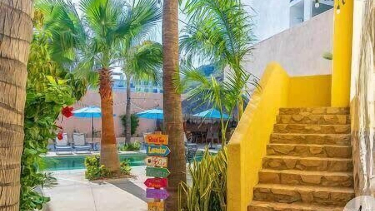 Photo of Others in Pedregal