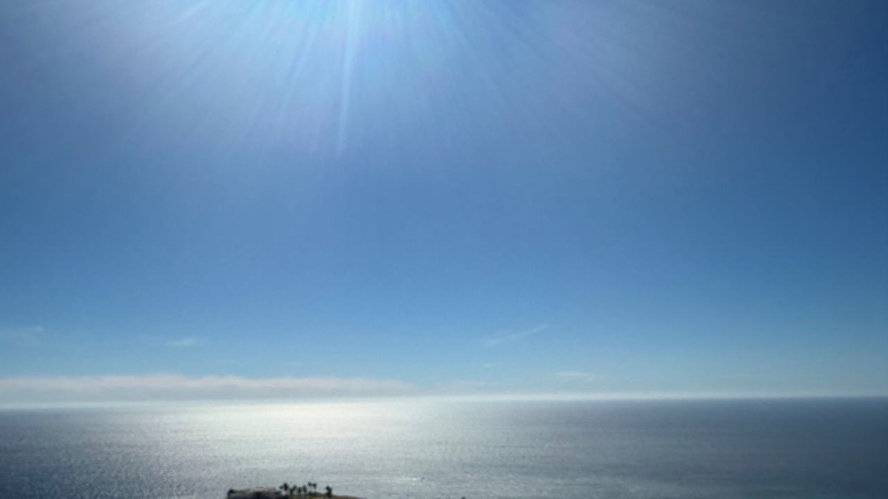 Photo of Others in Pedregal