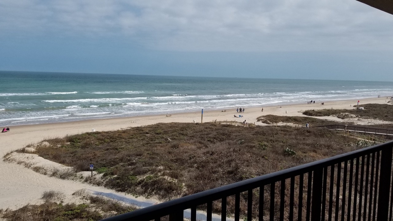 Photo of Others in South Padre Island