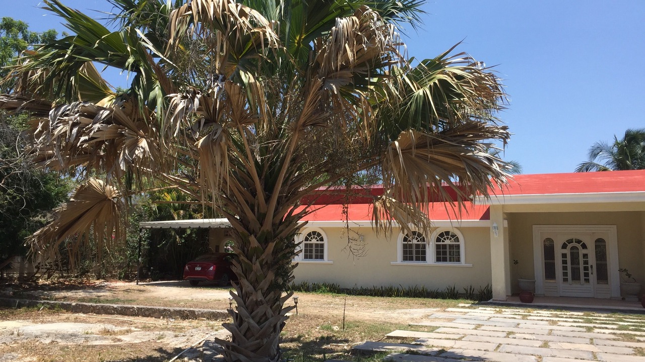 Photo of Outdoor in Merida