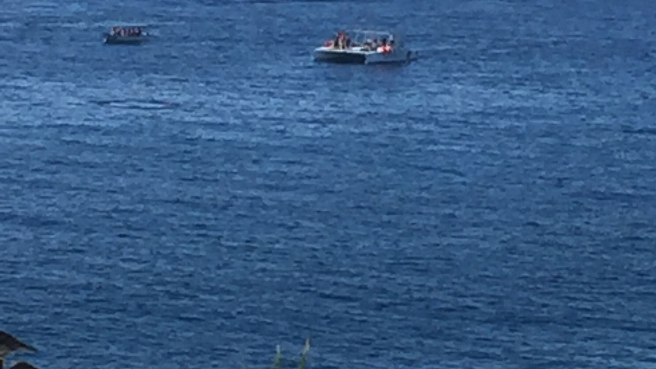 Photo of Others in Cabo San Lucas