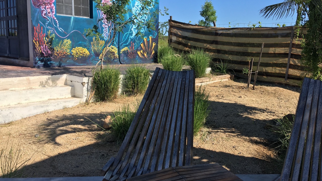 Photo of Outdoor in Todos Santos