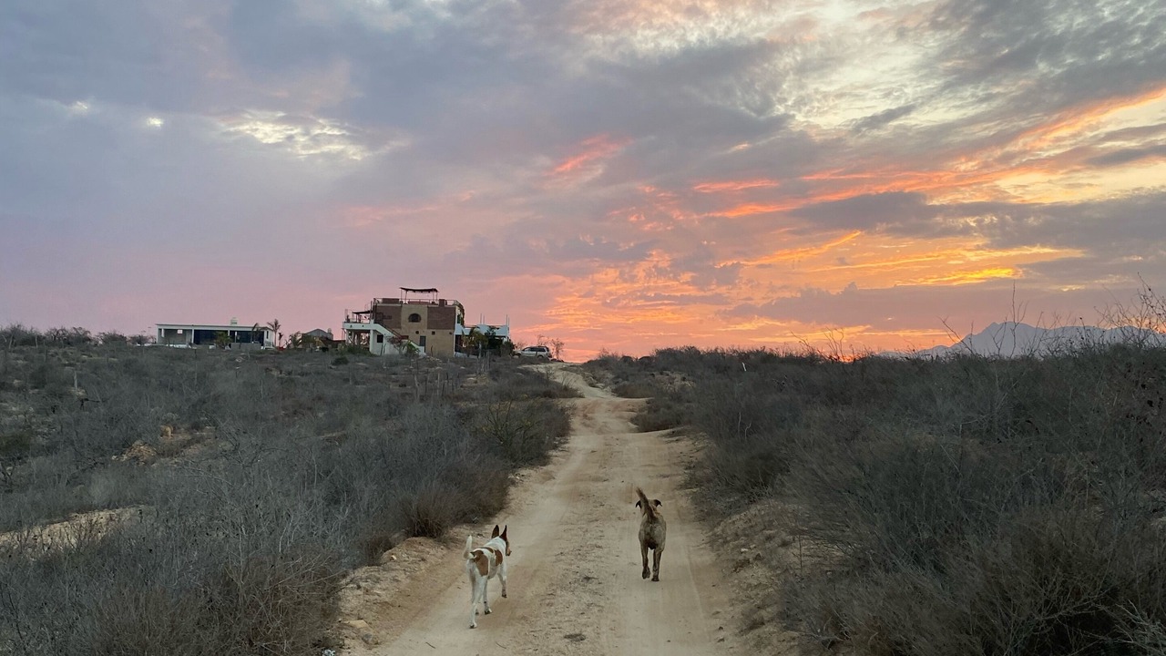 Photo of Others in Todos Santos