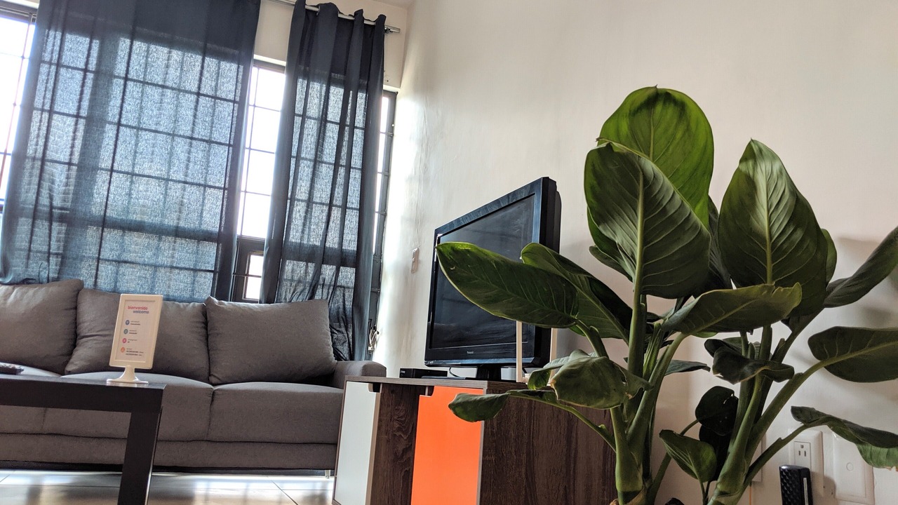 Photo of Livingroom in Centro