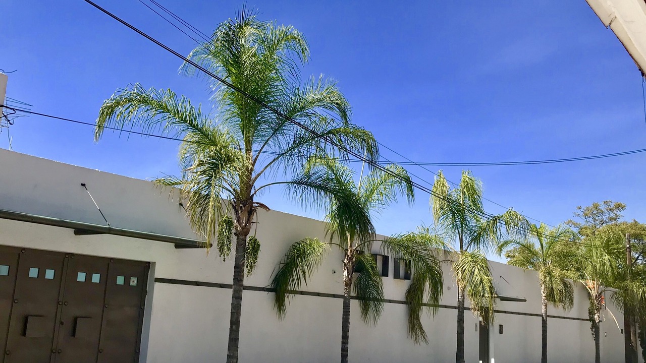 Photo of Outdoor in Queretaro