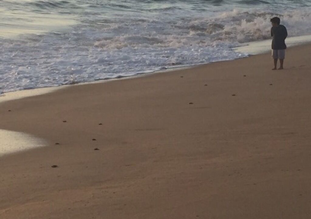 Photo of Others in Todos Santos