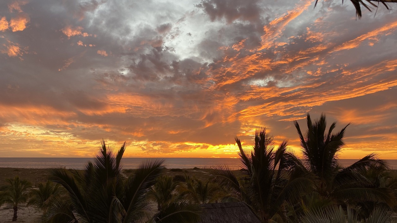 Photo of Others in Todos Santos