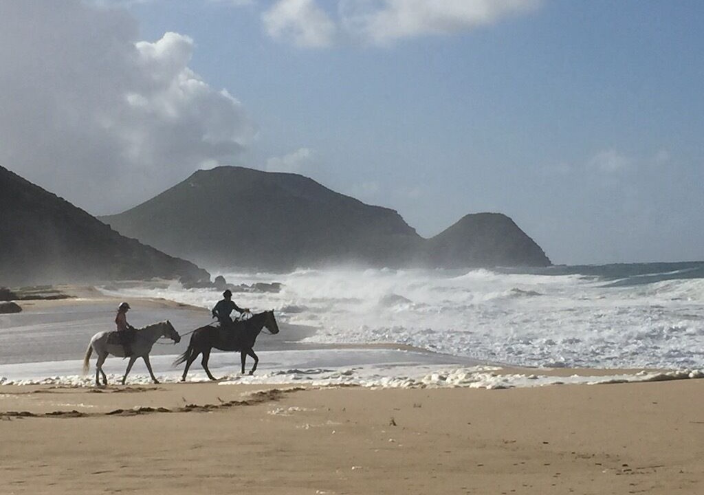 Photo of Others in Todos Santos