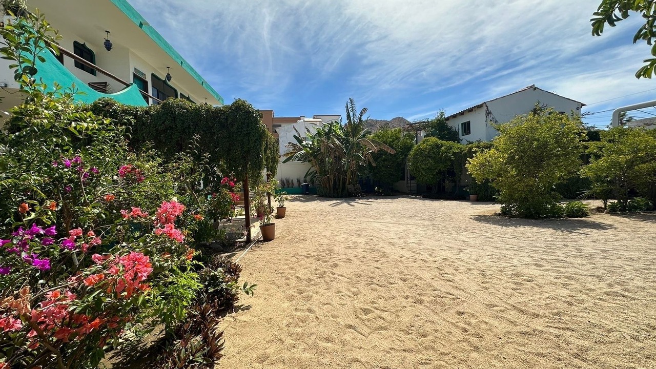 Photo of Outdoor in Downtown Cabo San Lucas