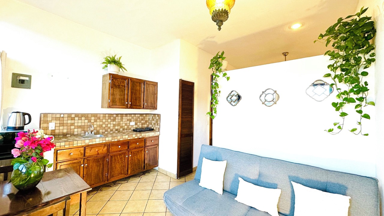 Photo of Livingroom in Downtown Cabo San Lucas
