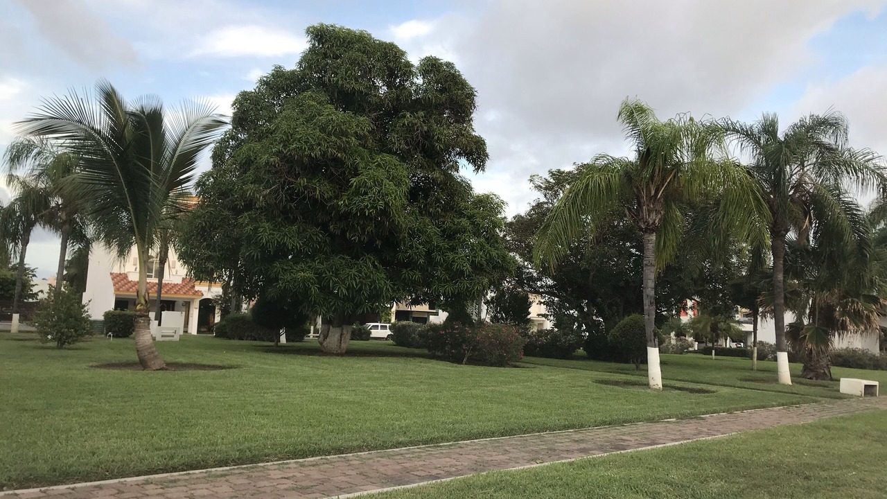 Photo of Outdoor in Mazatlan
