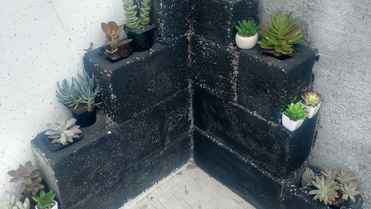Photo of Outdoor in Matamoros