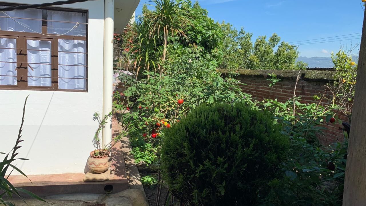 Photo of Outdoor in De Guadalupe