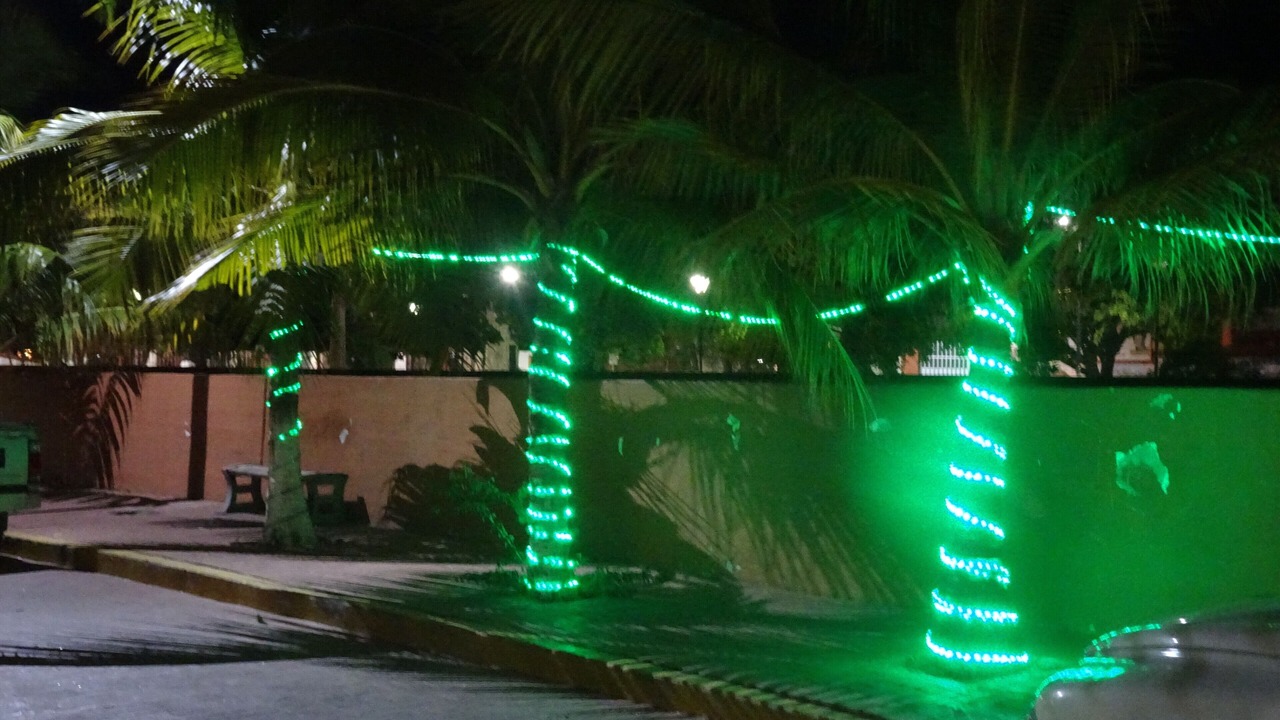Photo of Others in Playa la Madera