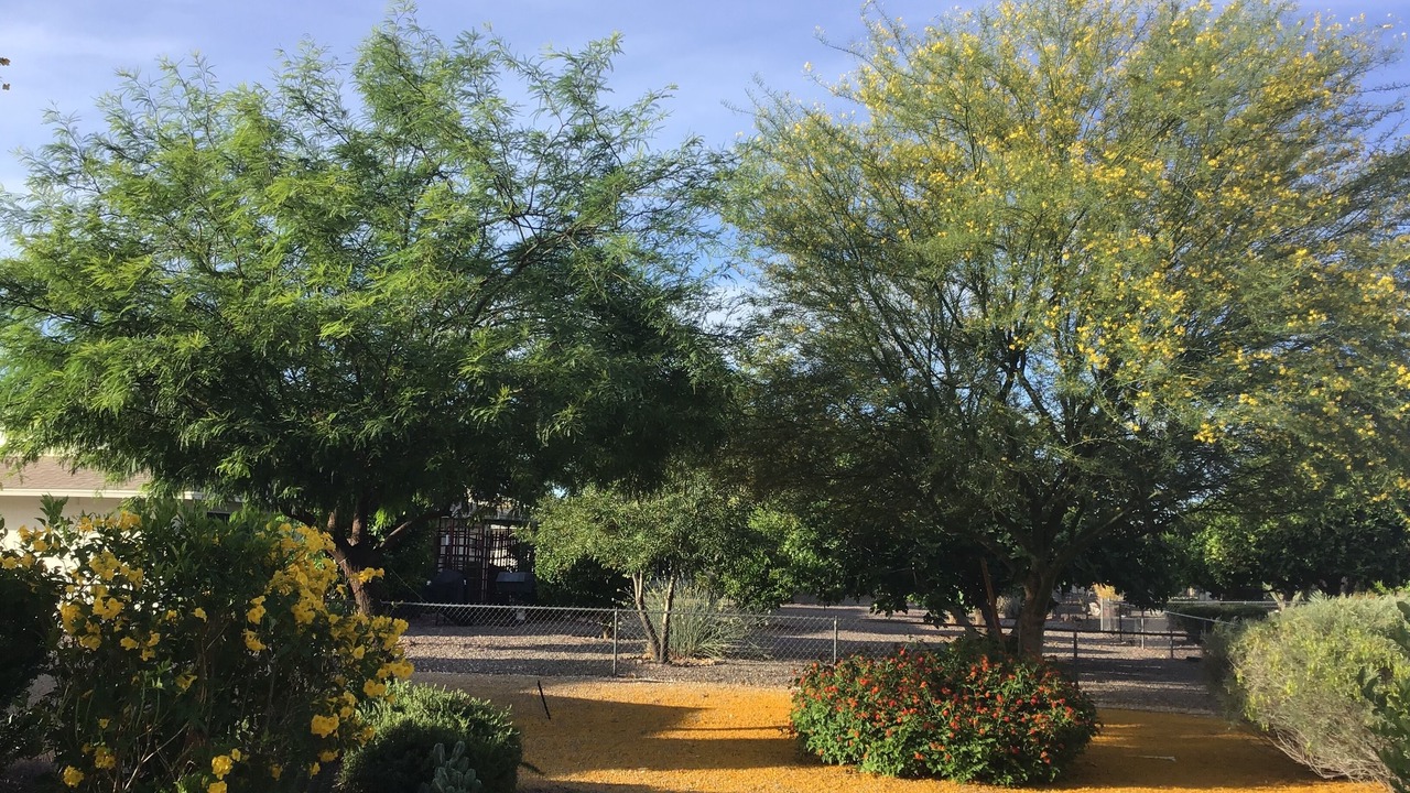Photo of Outdoor in Sun City