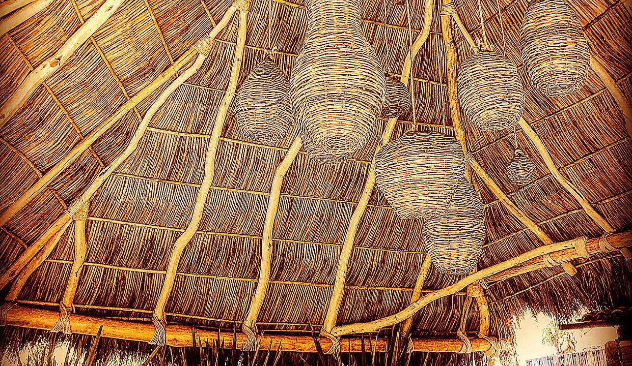 Photo of Outdoor in Ajijic