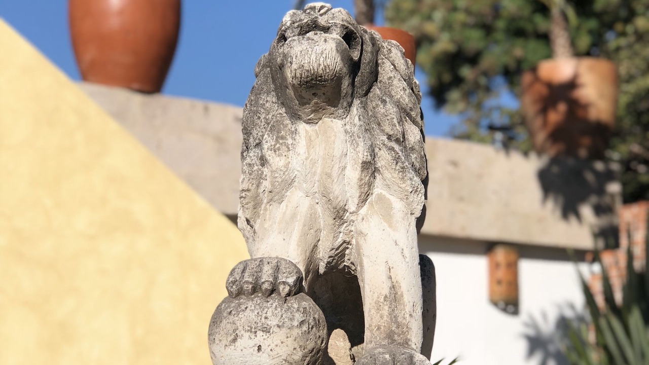 Photo of Outdoor in Ajijic
