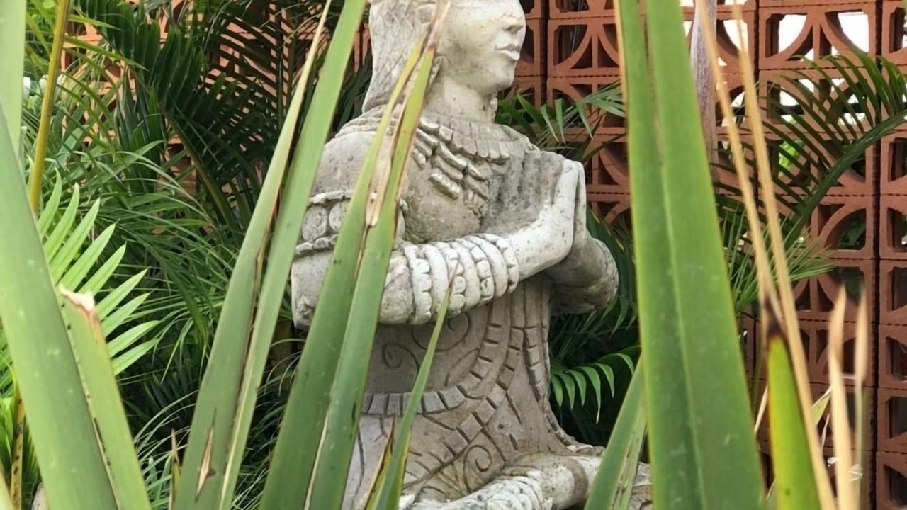 Photo of Outdoor in Ajijic