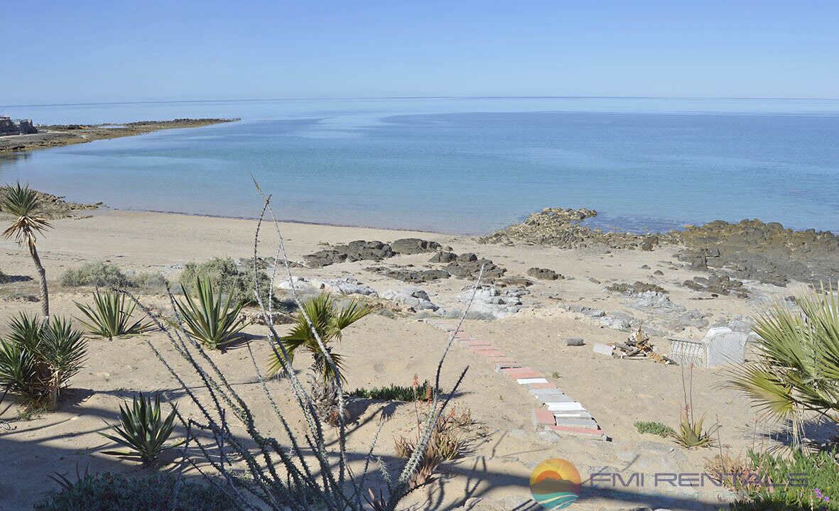 Photo of Others in Cholla Bay