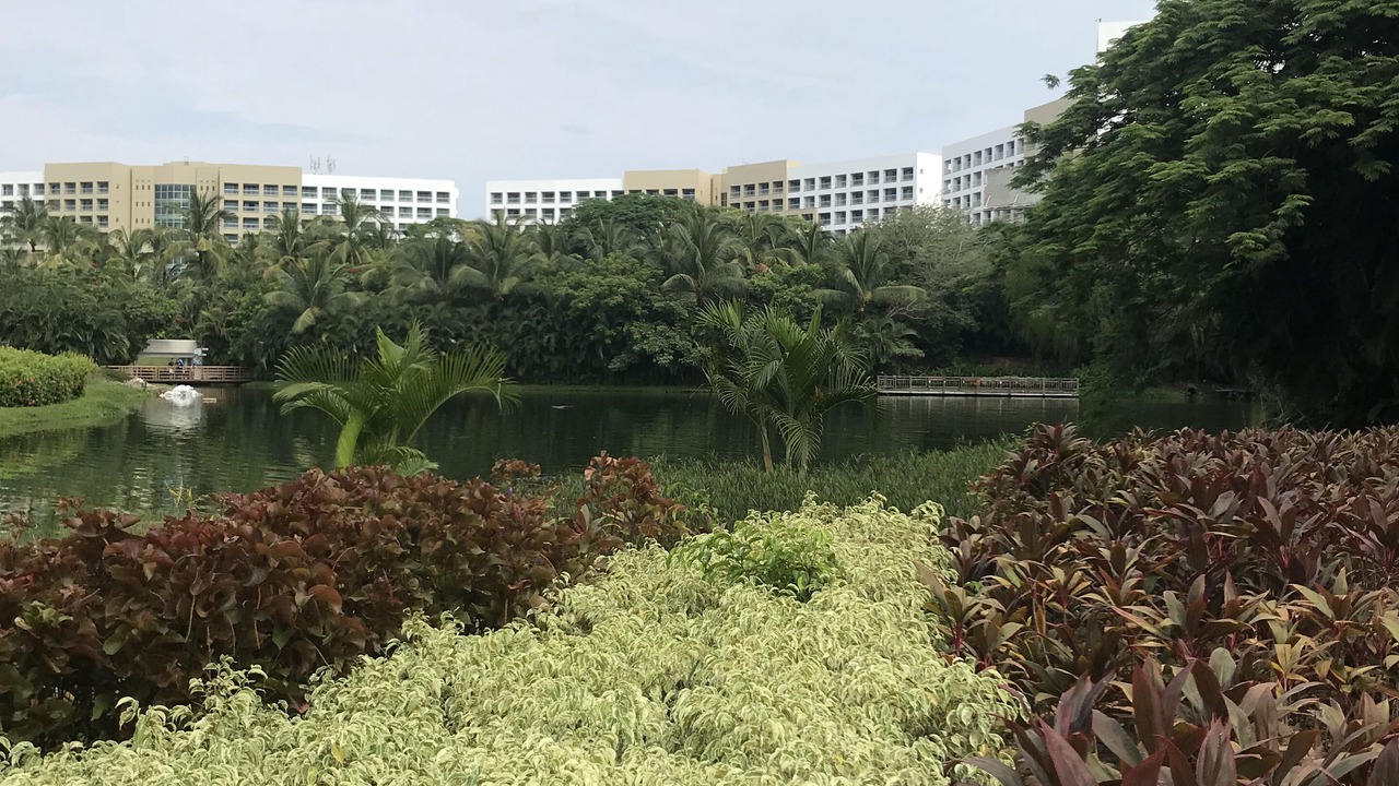 Photo of Outdoor in Playacar Fase II