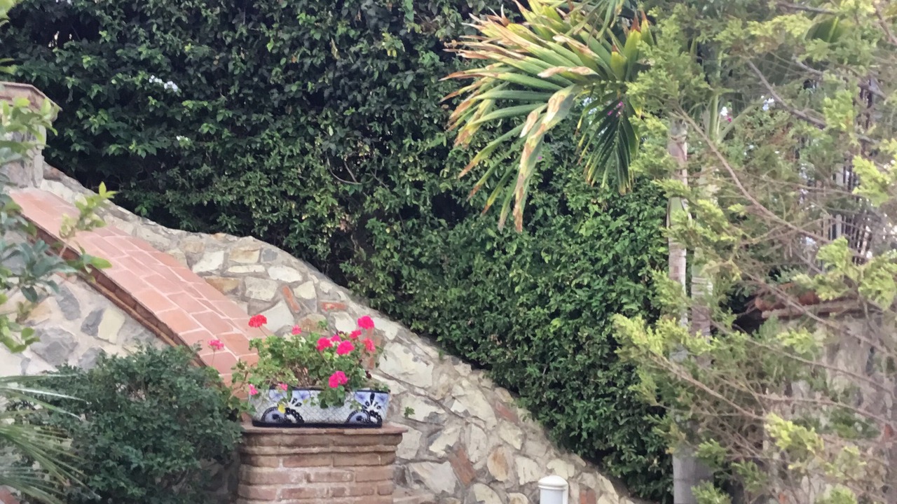 Photo of Outdoor in Raquet Club