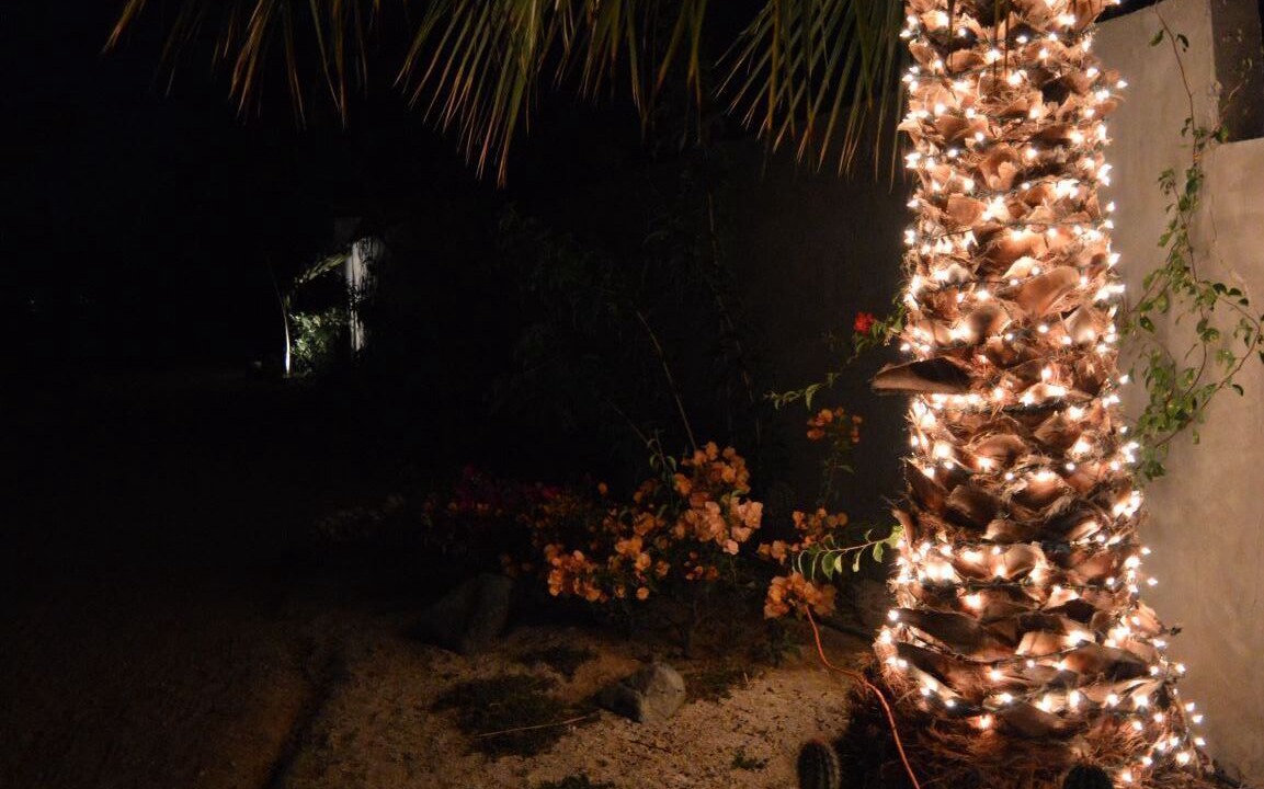 Photo of Outdoor in Buenavista