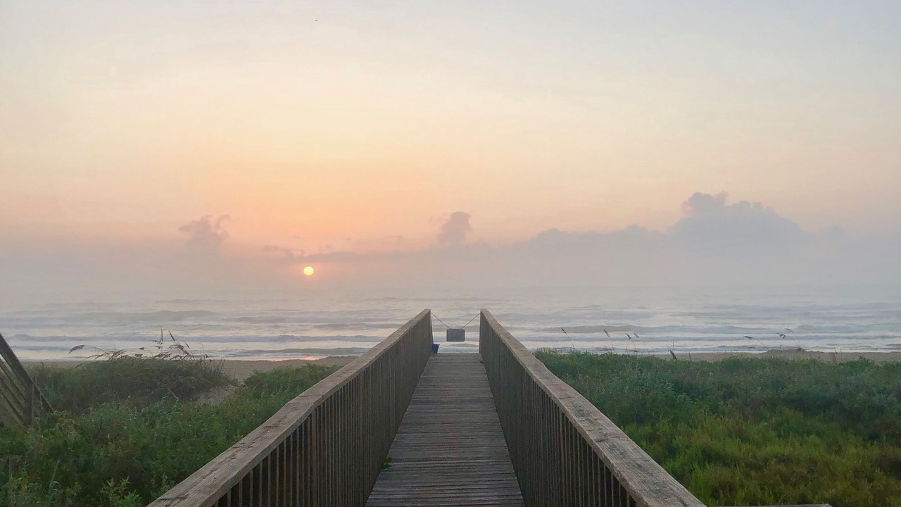 Photo of Others in South Padre Island