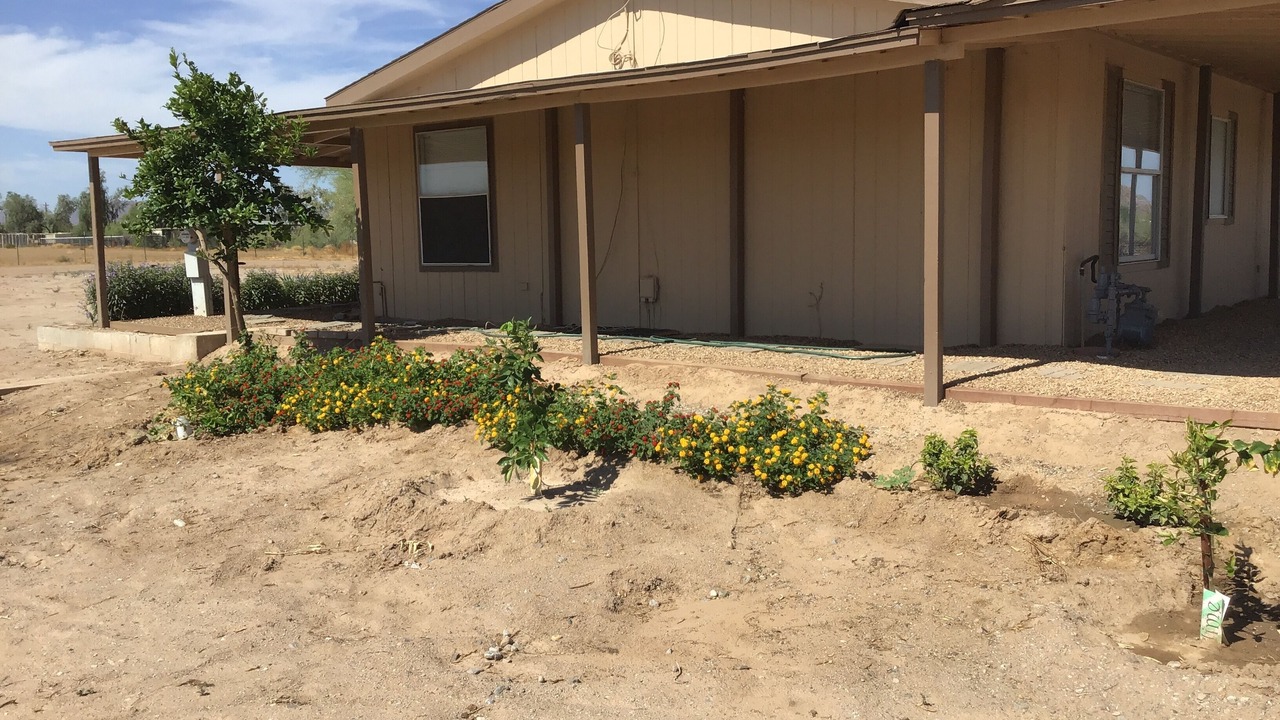 Photo of Outdoor in Maricopa