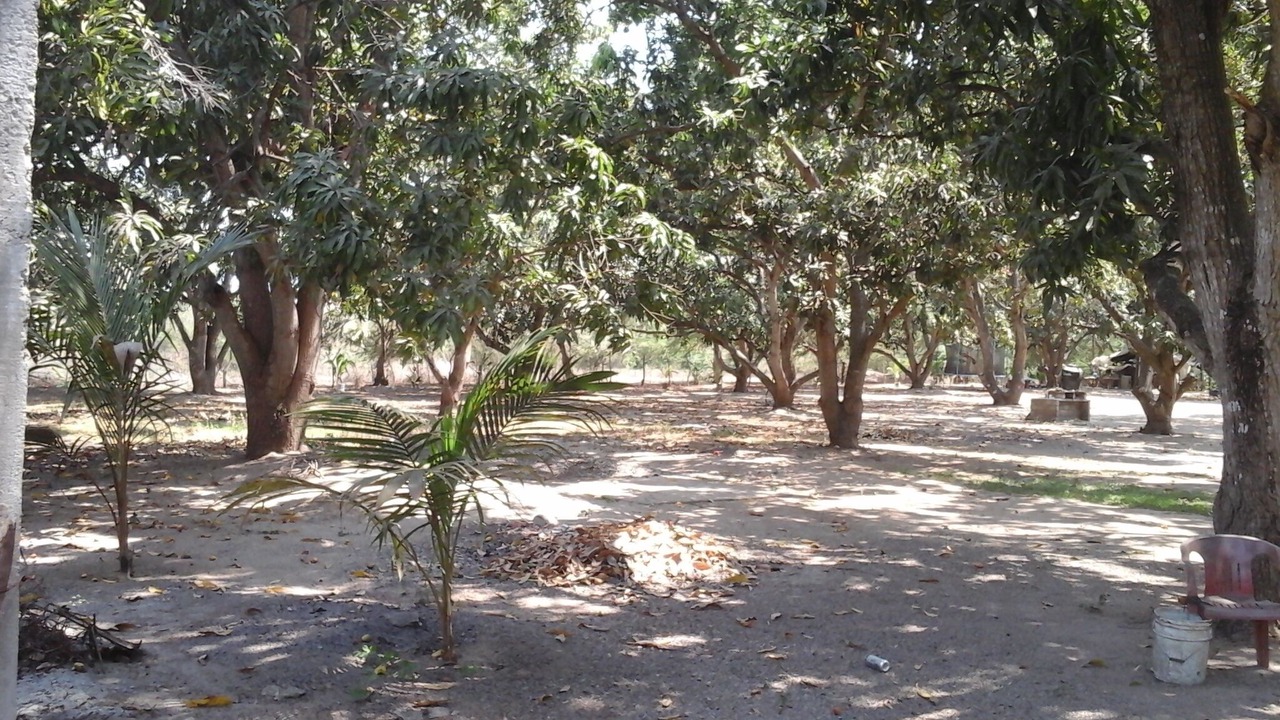 Photo of Outdoor in Mezcales