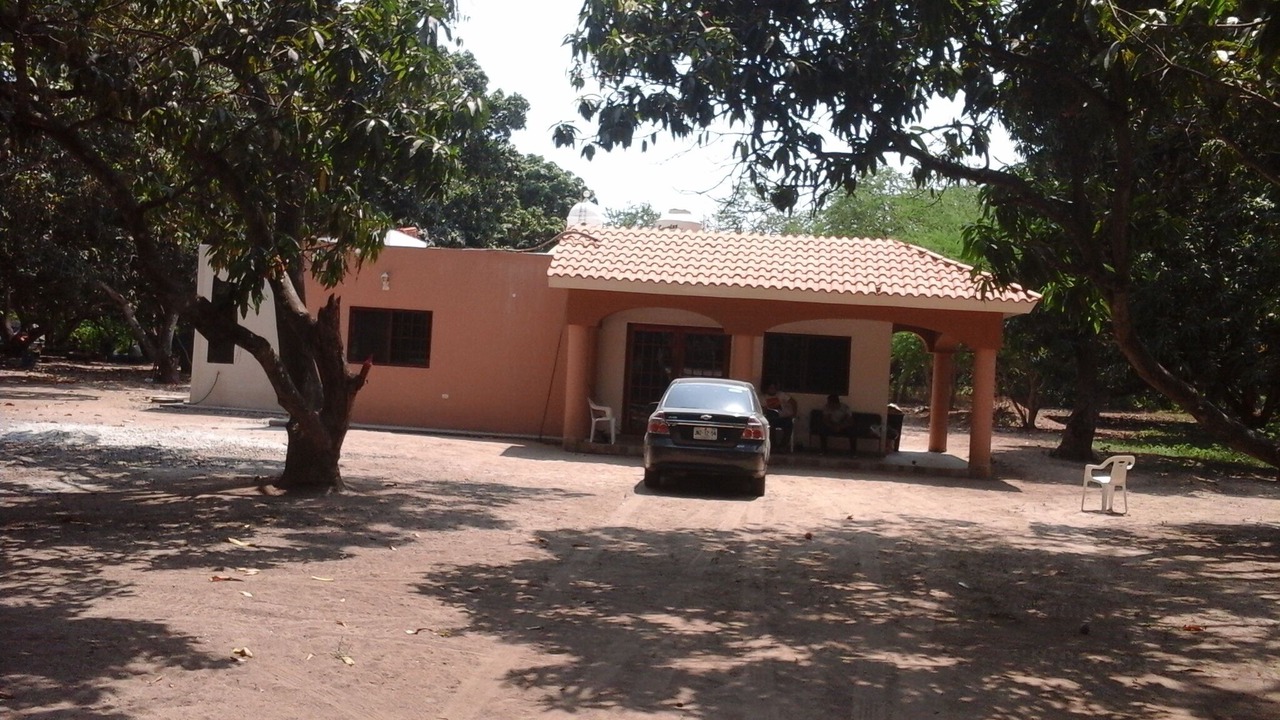 Photo of Outdoor in Mezcales