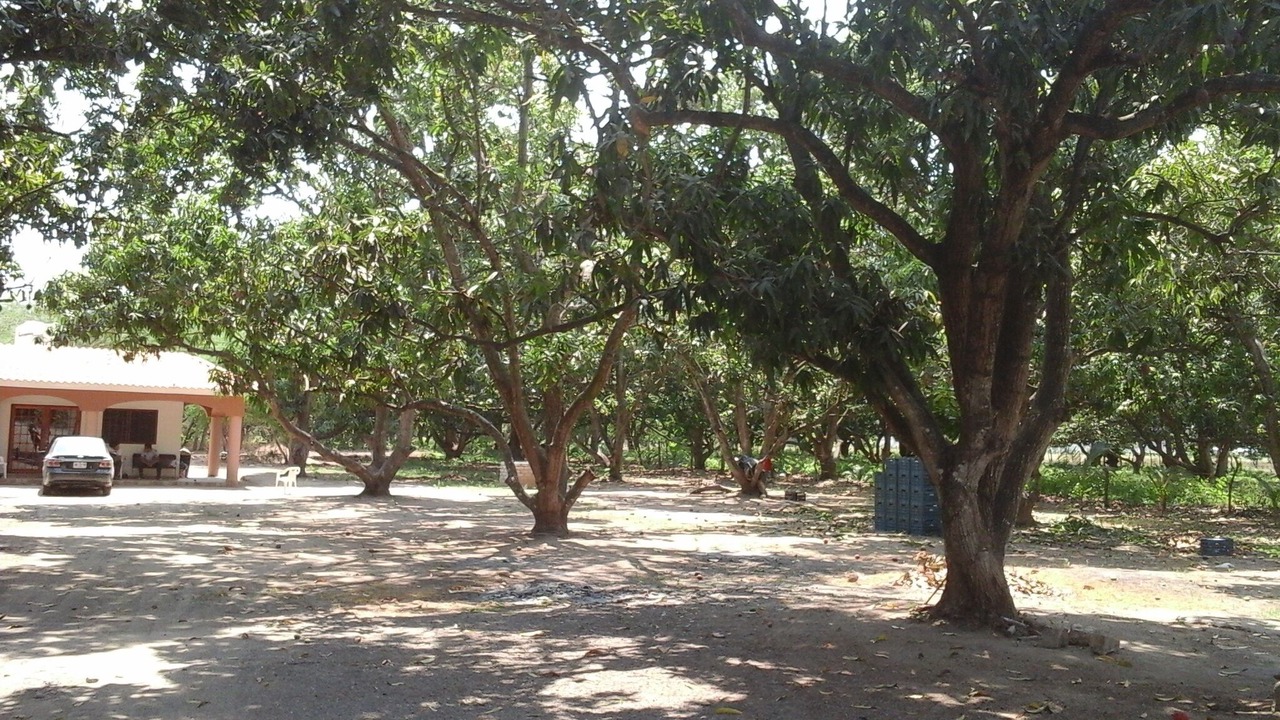 Photo of Outdoor in Mezcales