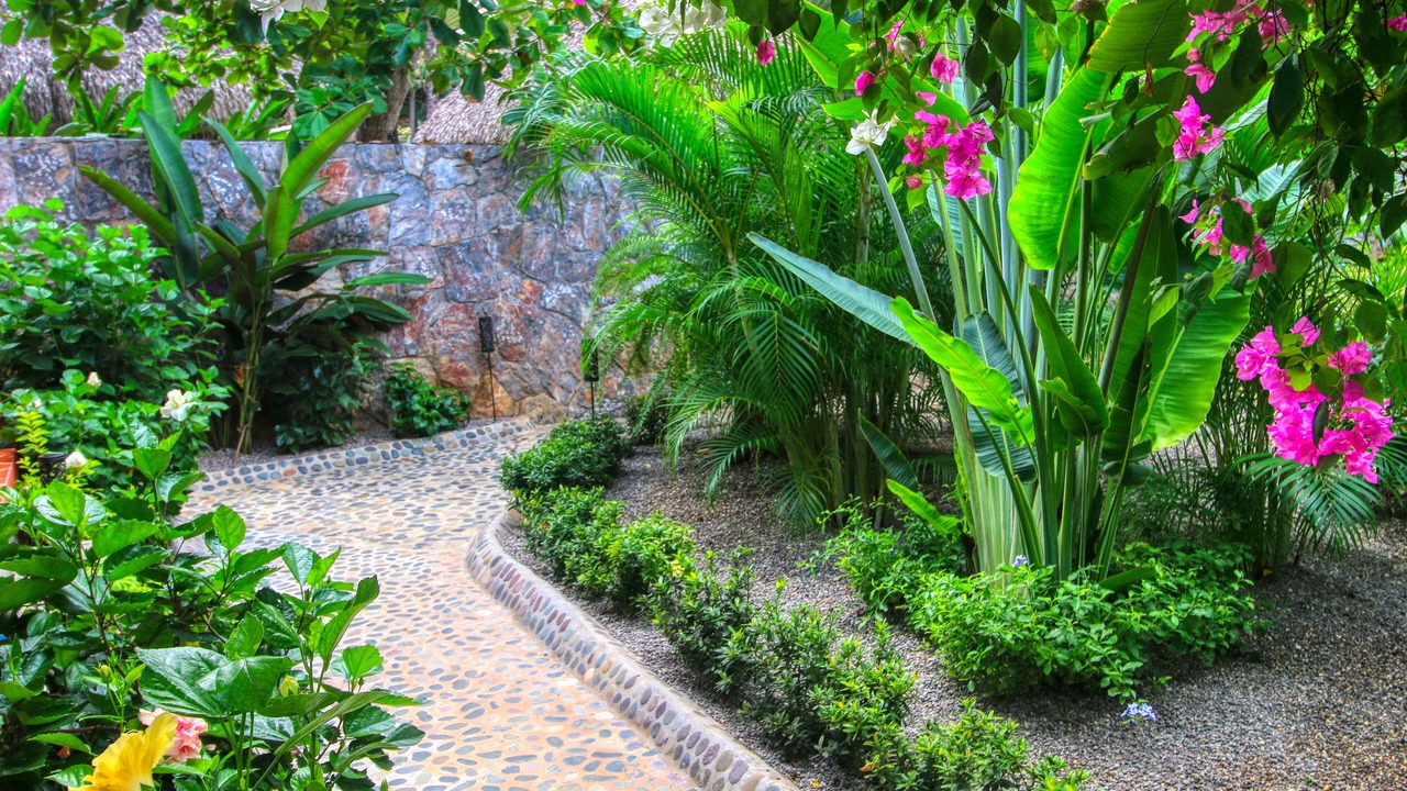 Photo of Outdoor in Troncones