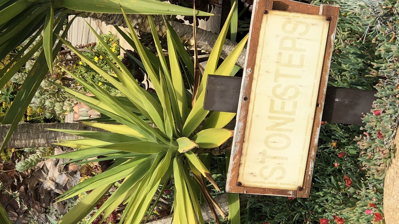 Photo of Outdoor in Ensenada