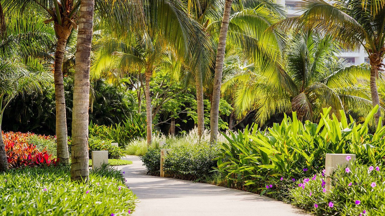 Photo of Outdoor in Nuevo Vallarta