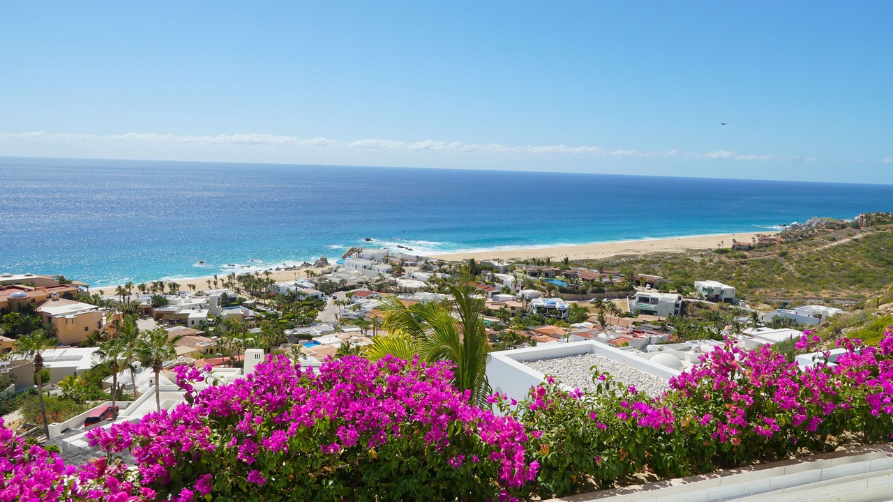 Photo of Others in Pedregal