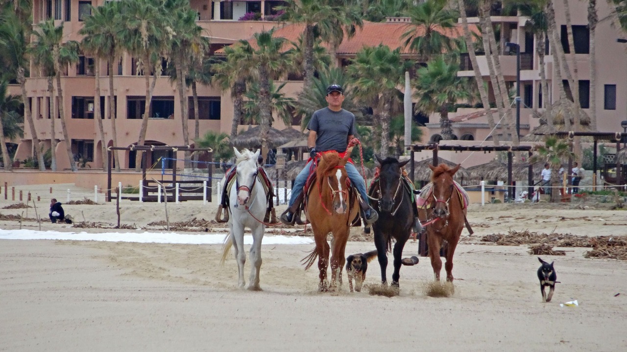 Photo of Others in Zona Hotelera