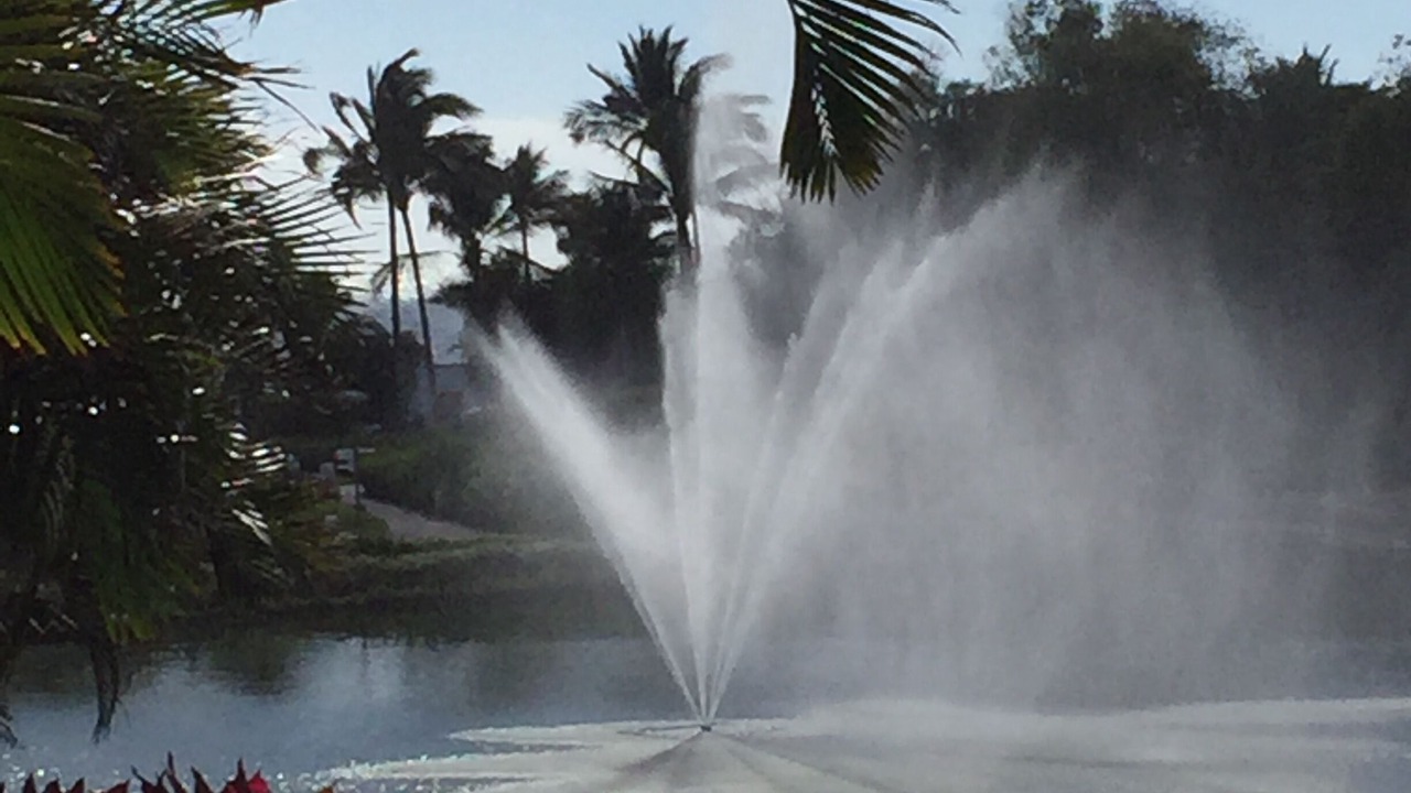 Photo of Outdoor in Bella Vista