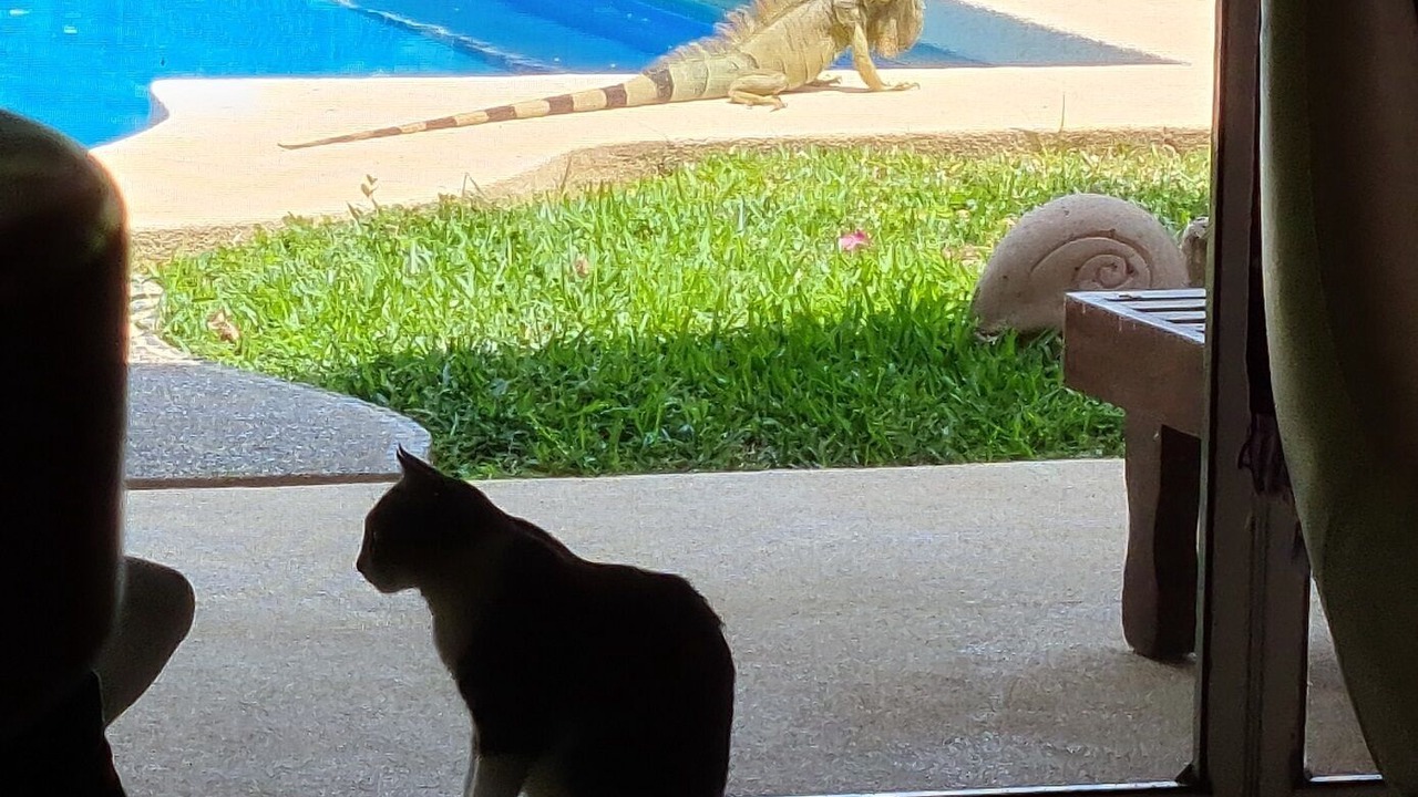 Photo of Others in Ixtapa