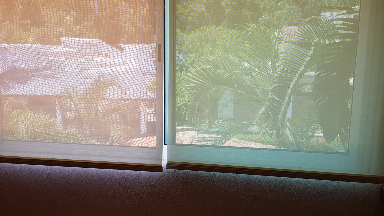 Photo of Bedroom in Ixtapa