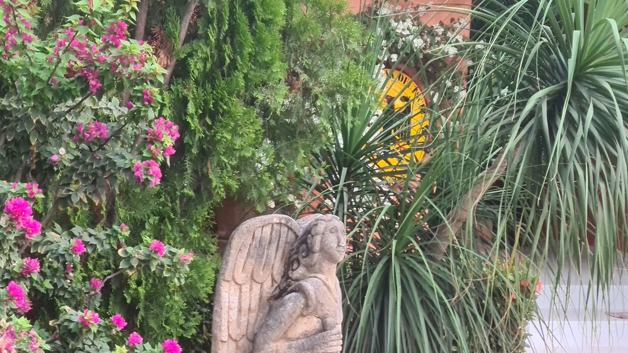 Photo of Others in Ixtapa