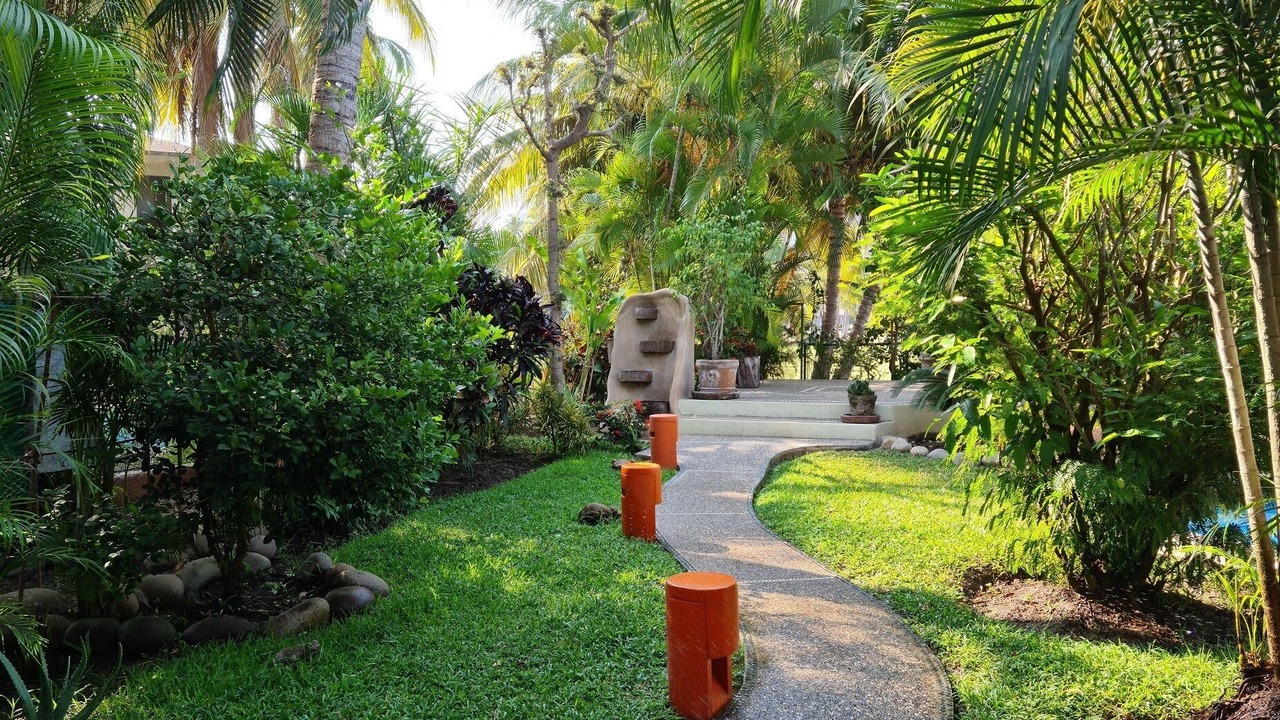 Photo of Outdoor in Ixtapa