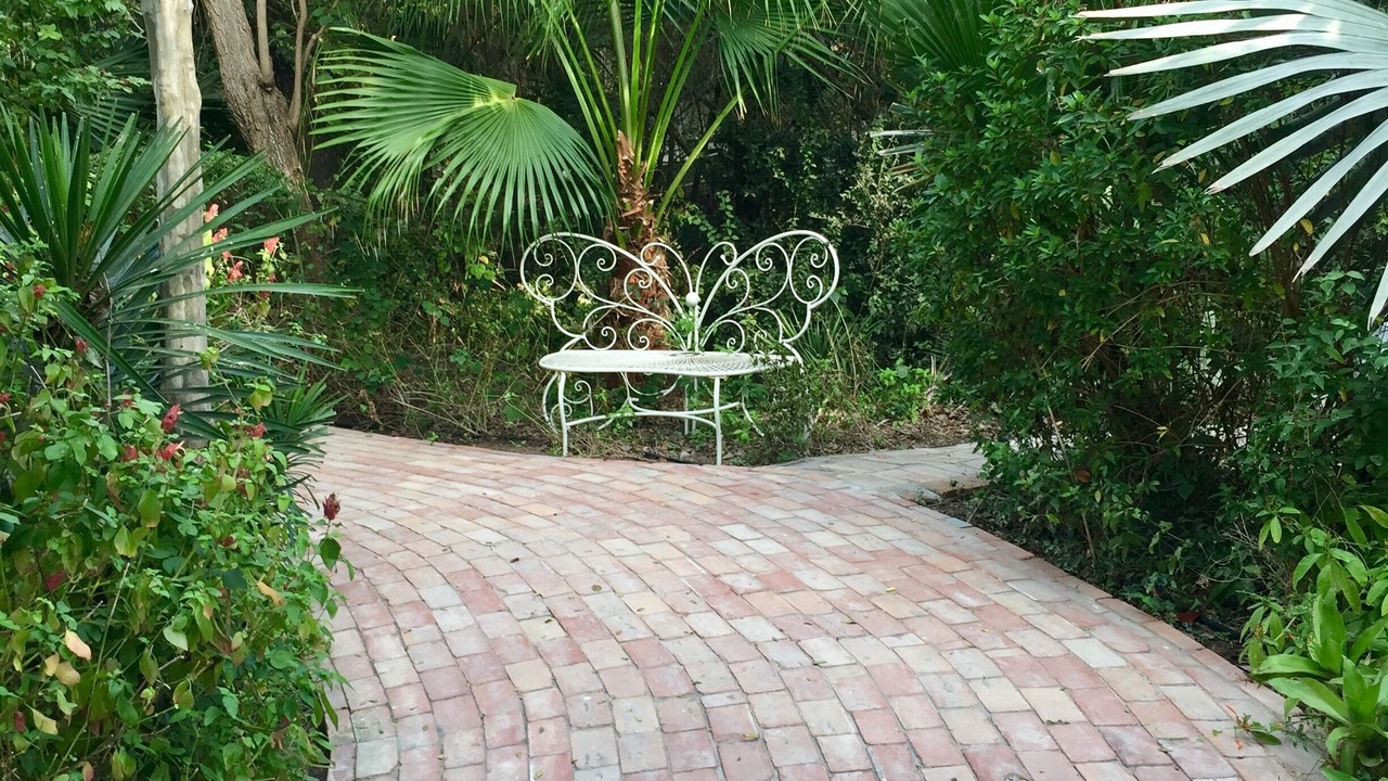 Photo of Others in Palmview South