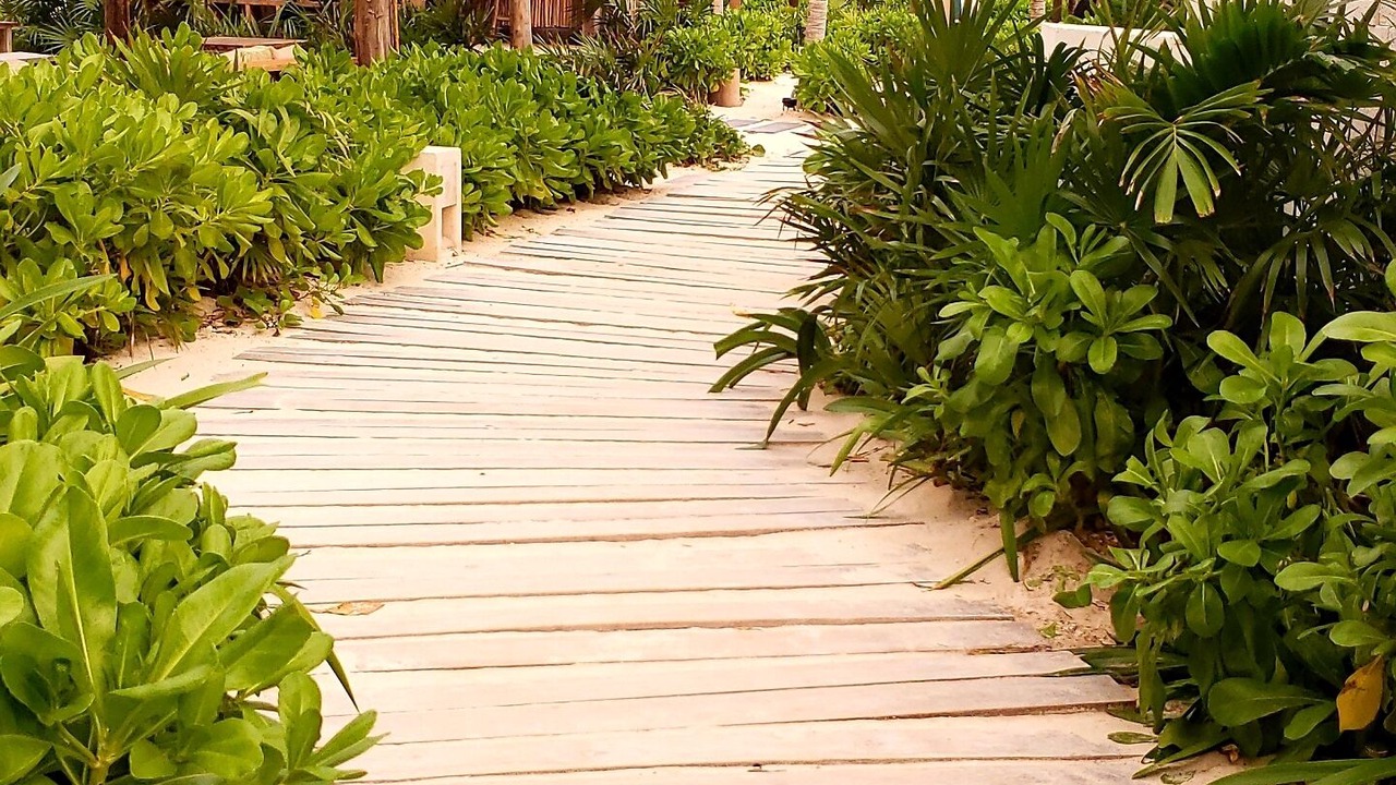 Photo of Outdoor in Villa Juarez