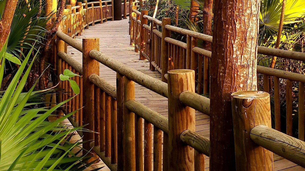 Photo of Outdoor in Villa Juarez